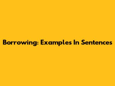 Borrowing: Examples In Sentences