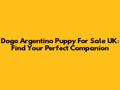 Dogo Argentino Puppy For Sale UK: Find Your Perfect Companion