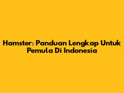 Hamster: Panduan Lengkap Untuk Pemula Di Indonesia
