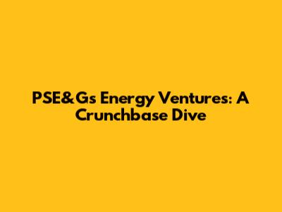PSE&G's Energy Ventures: A Crunchbase Dive
