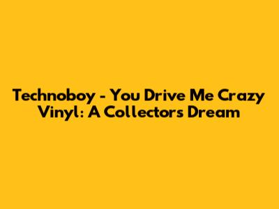 Technoboy - You Drive Me Crazy Vinyl: A Collector's Dream